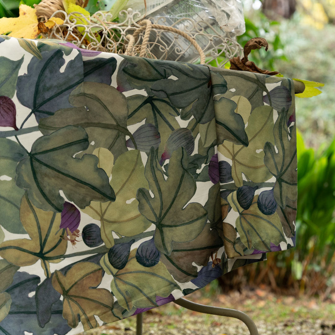 Ficus