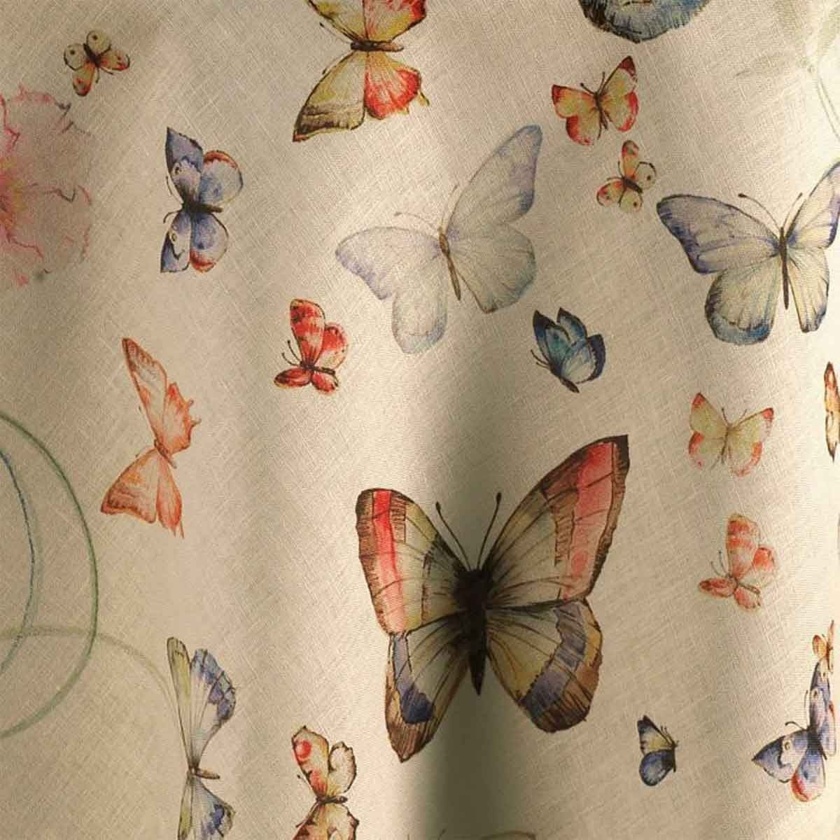 Papillon
