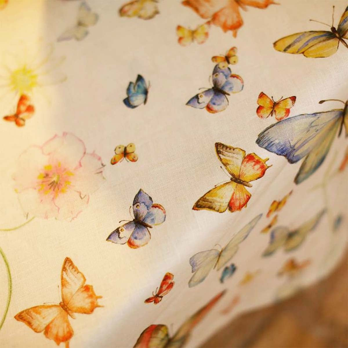 Papillon